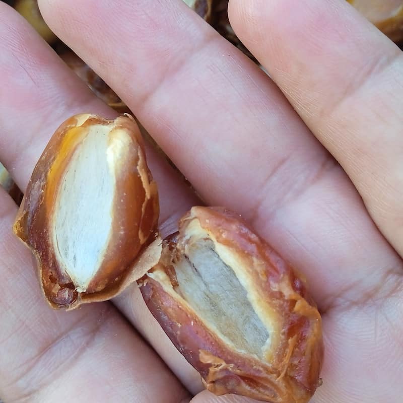 تصویر 4 از خرما زاهدی بدون هسته آماده مصرف روزانه